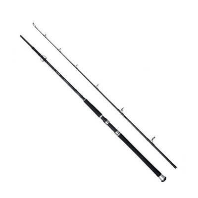 SPRO Salty Beast Compact 2.10M 100G Jig Kamışı - 2